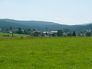 Frauenau