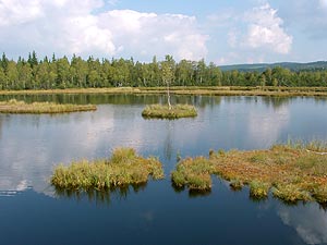 Chalupy-Moor (Grosser Knigsfilz)